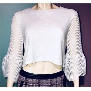ENDLESS LOVE • Bell Sleeved Crop Top / size (M)